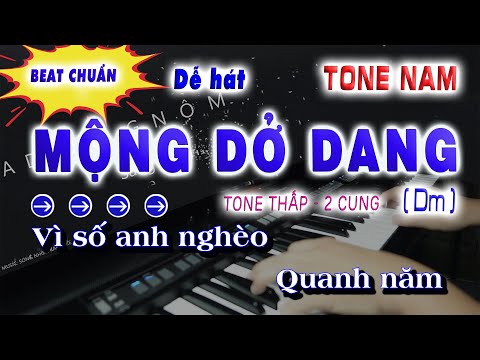 KARAOKE MỘNG DỞ DANG  - BEAT CHUẨN(Dm) TONE NAM DỄ HÁT | SONG NHIEN KARAOKE