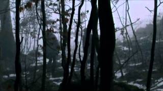 Niki & The Dove - Winterheart [unofficial fan-made video]