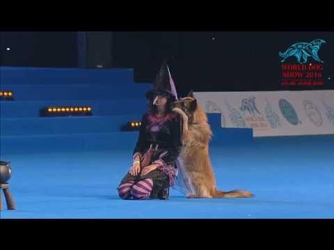 FCI Dog dance World Championship 2016 –Heelwork to music final - Lusy Imbergerova and Deril (Italy)