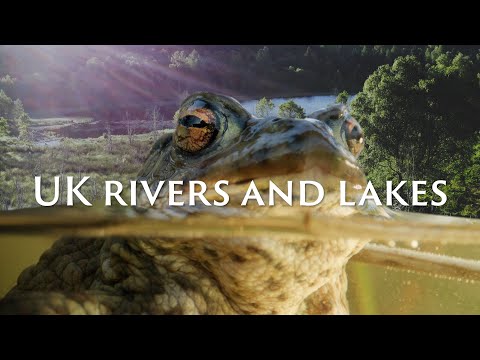 Our rivers and lakes need protecting | Save Our Wild Isles