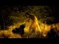Armin Van Buuren feat Jan Vayne   Serenity (Orchestral Version)