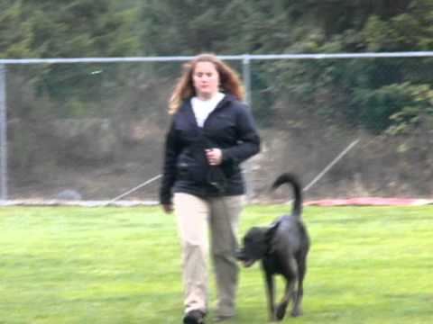 Koenig BH, under judge Warren Jones