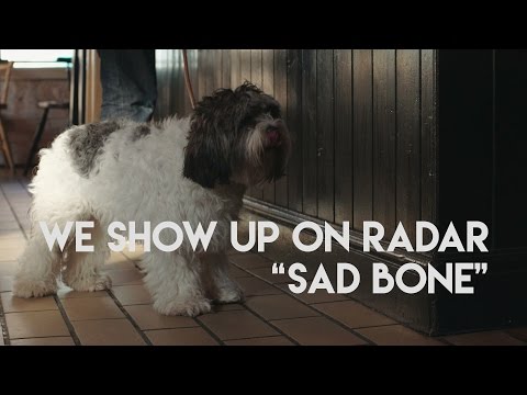 We Show Up On Radar - Sad Bone (feat. Darren Hayman)