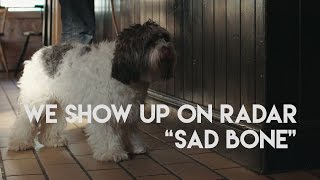 We Show Up On Radar - Sad Bone (feat. Darren Hayman)
