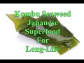Kombu Seaweed a Japanese Superfood for Long-Life