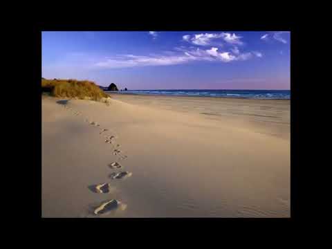 378HC  AS PISADAS DO MESTRE-VOZ 3/10/2023