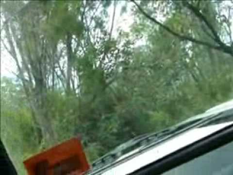 Cape York - Where's the track?