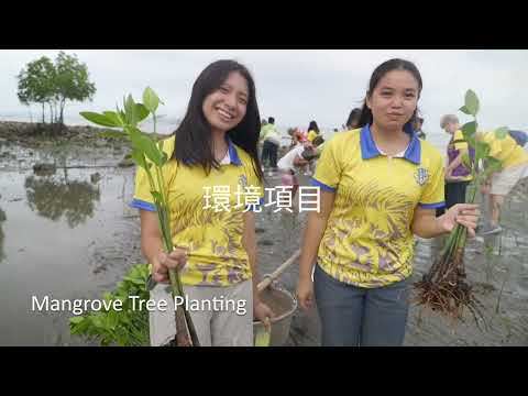 Real People. Real Service. Real Change. (Chinese)