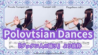Download lagu 歌劇「イーゴリ公」より『ダッタン人の踊り』 《The Polovtsian Dances》from Prince Igor mp3