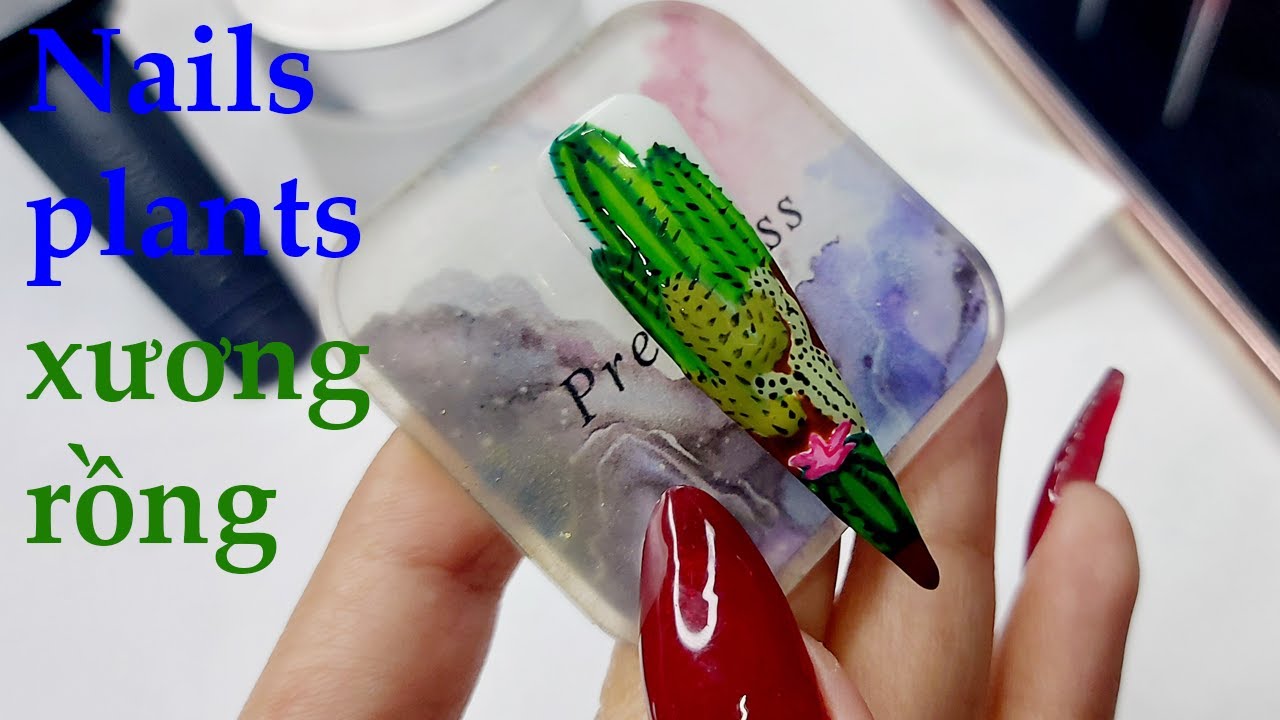 Châu Pha (Chou Fa) – Nails plants – Xương rồng