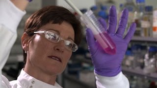 Video:  Scientists discover asthma's potential root cause and a novel treatment