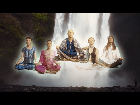 MELLOW YELLOW DAFFODIL - A Dream