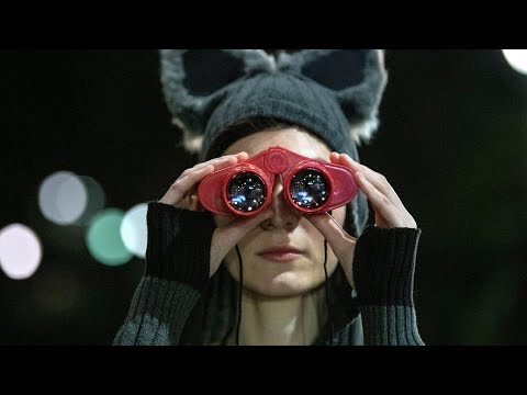 afbeelding Lone Wolf – trailer | IFFR 2021