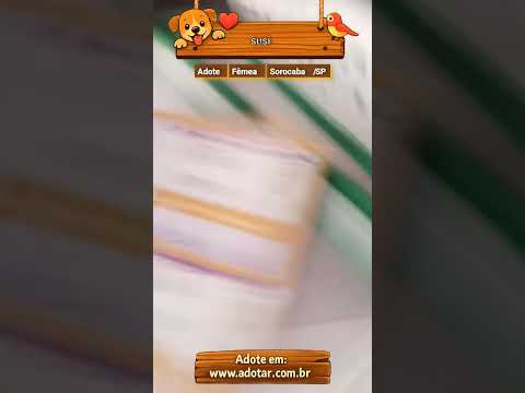 Vídeo de susi