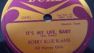 It's My Life Baby Music Video