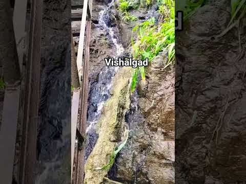 vishalgad viwe #geetkarazra #beutifulnature #nature #greenary