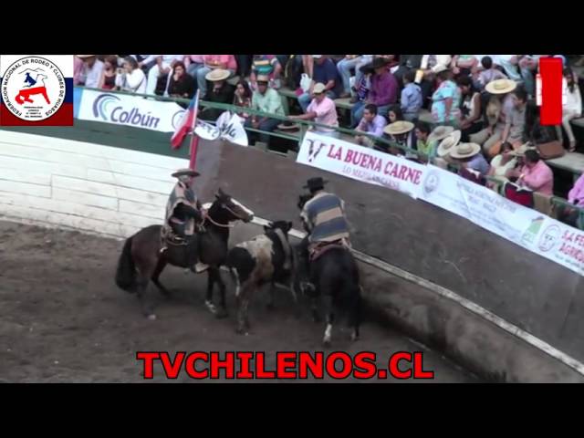 SEGUNDO CLASIFICATORIO DE LA FENARO DE CHILE SEGUNDO CLASIFICATORIO DE LA FENARO DE CHILE