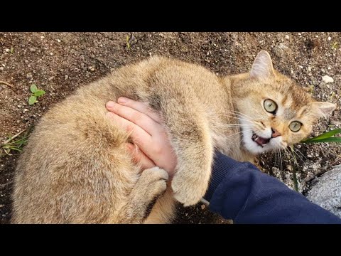 Life in RUSSIA 2 months AFTER SANCTIONS