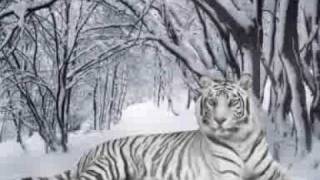 Igor S. - Walking On The Ocean