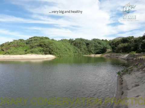 2014D4S33L1 Ayanda Mnikathi The first comprehensive mapping of micro-estuaries within KZN