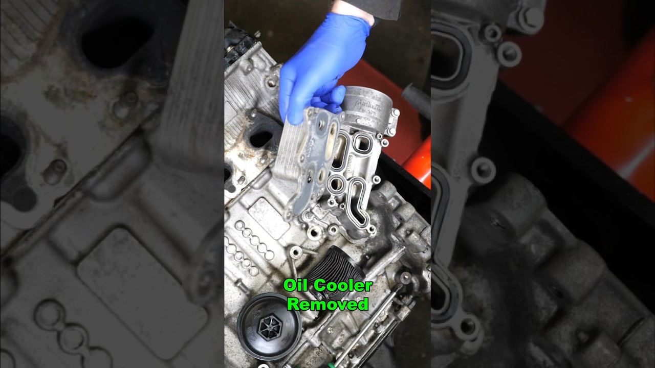 Motoroliekoeler / Warmtewisselaar #shorts #monteur #auto's