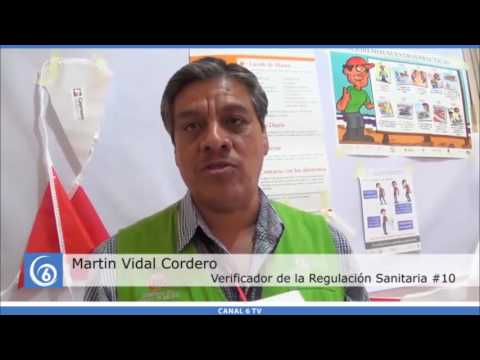 Platica informativa de manejo y consumo de la pesca por parte de la verificación de regulación sanitaria 