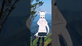 Fw: [白上吹雪] 一隻野生的貓咪拉著我結婚