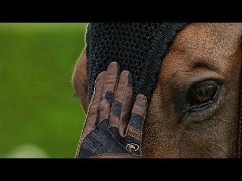 Heathens || Equestrian Music Video