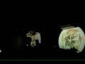 Greg Davis - Live at SuperDeluxe, (09年10月2日)