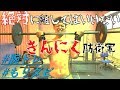 【※楽すぎ注意※】たった2種目で夏に間に合う!太い腕を作るトレーニング大公開! 【筋トレ中も爽やかに!】もりもりダビデTV