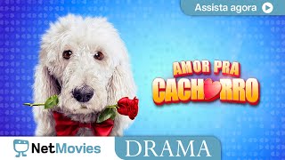 Amor Pra