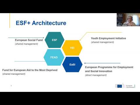 European Social Fund: Fueling Inclusive Growth | Vibepedia