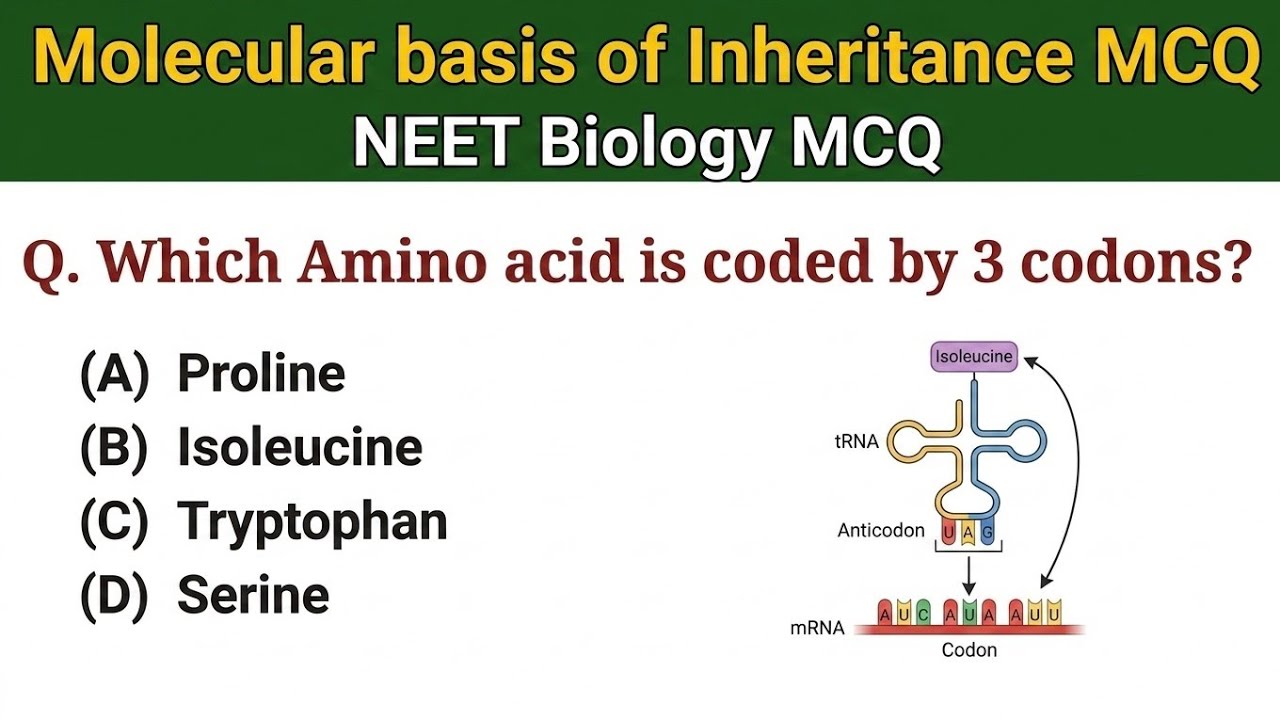 Molecular Basis of Inheritance Class 12 MCQ | NEET Biology | Most Expected MCQ Questions