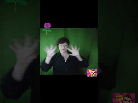 【日本手話】【2025年8月17日】3Dモデルやソフトの進歩