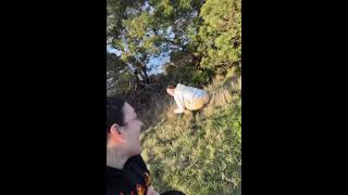 what is she doing#tiktok#fyp#viralshorts