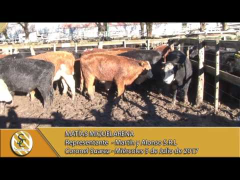 05-07-17 Nota Matías Miquelarena - Martín y Alonso - Coronel Suárez