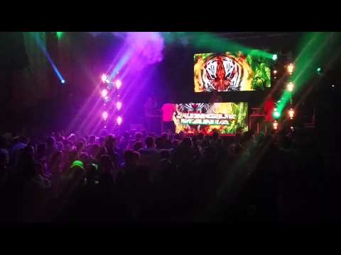 Jungle Mania carnival 24/07/14