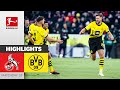 1. FC Köln - Borussia Dortmund 0-4 | Highlights | Matchday 18 – Bundesliga 2023/24