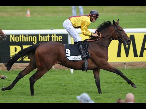 Hannover: Preis der Köster GmbH (D) - Siegerin: Vallante