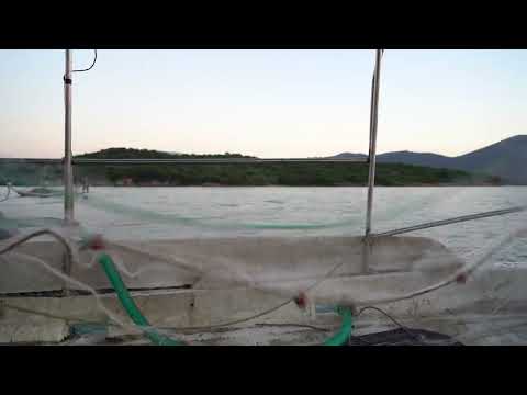 Ψάρεμα γαρίδας 