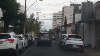 Natureza Preservada: Descobrindo Tesouros pelo Caminho de Monte Alto a Jaboticabal