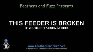 This Feeder is Broken   Video