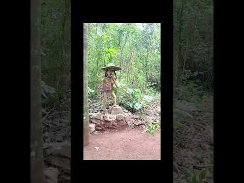 fuimos a conocer APÓSTOLES misiones !! la reserva ecologica ❤️