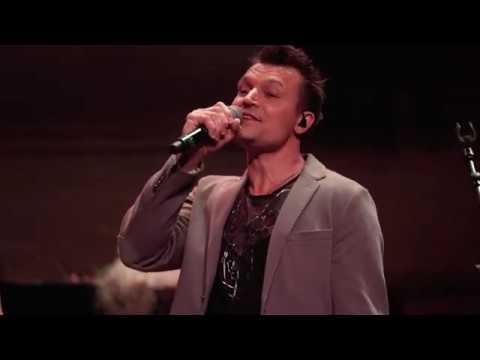 The Mon Amour Band - The Cats Medley  (live, taken from the DVD 50 Jaar Palingsound)