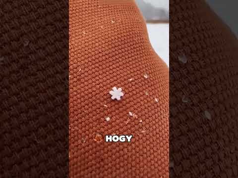 Ez a hó csak 10 évente esik 🤯