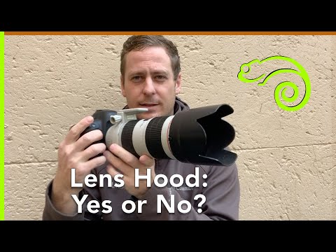 Lens Hood: Yes or No?