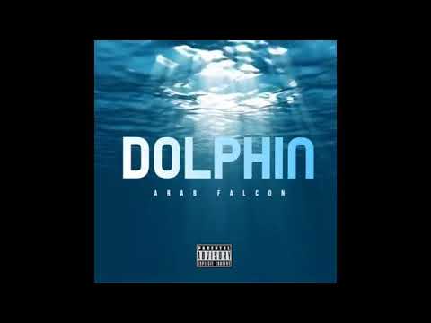 دلفين||arab falcon