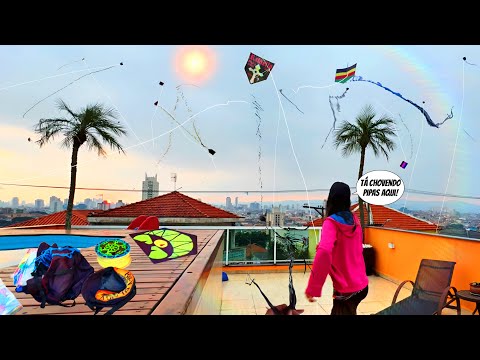 Temporada de Pipas Começou e o Bairro Virou Paraíso da Xepa de Pipões Avoados - Rafa Pipeira na Laje