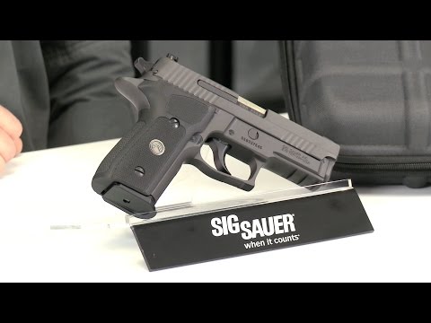2022 Sig Sauer P229 at Harsh Outdoors, Eaton, CO 80615