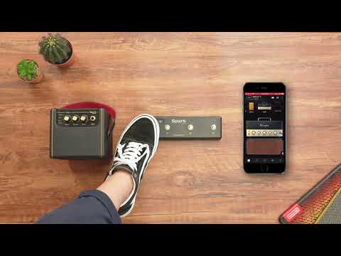How to Customize Spark Control